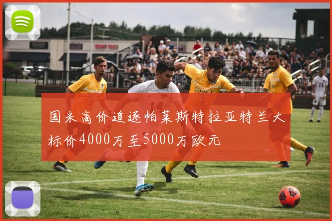 国米高价追逐帕莱斯特拉亚特兰大标价4000万至5000万欧元
