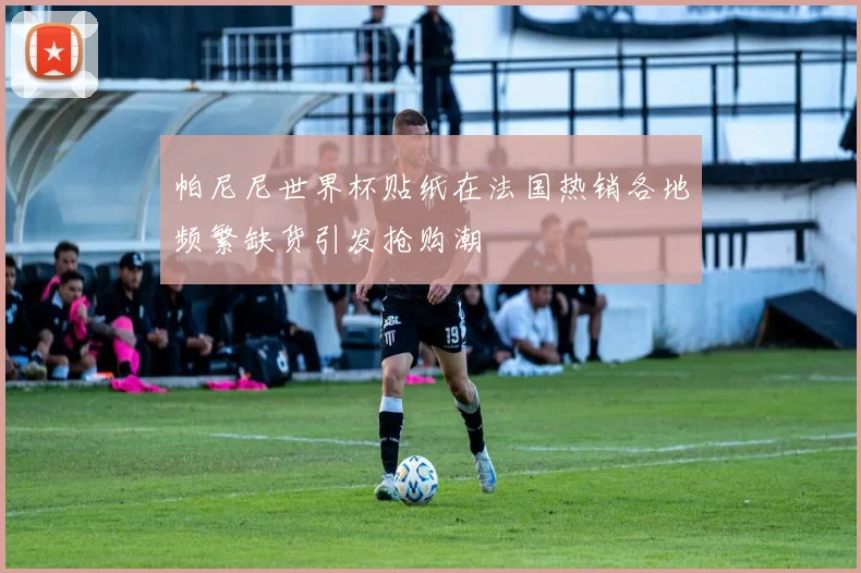 帕尼尼世界杯贴纸在法国热销各地频繁缺货引发抢购潮